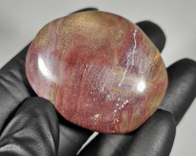 Petrified Wood Palm Stone