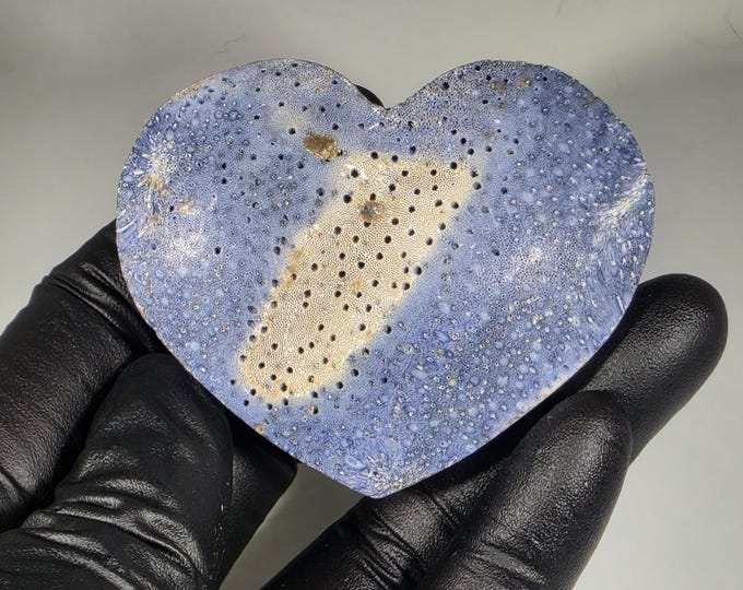 Blue Ridge Coral Fossil Heart Stone