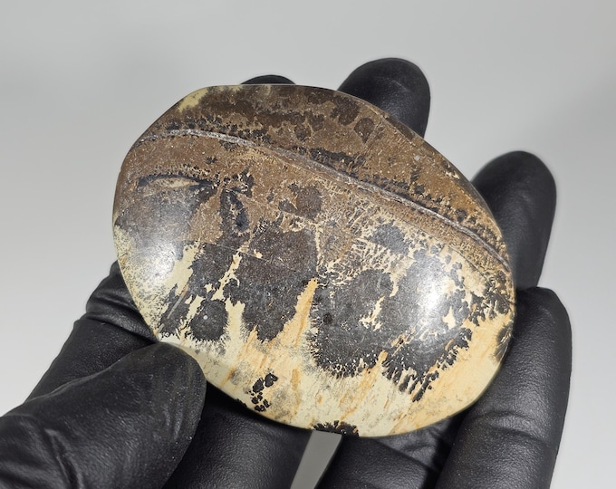 Picture Jasper Palm Stone