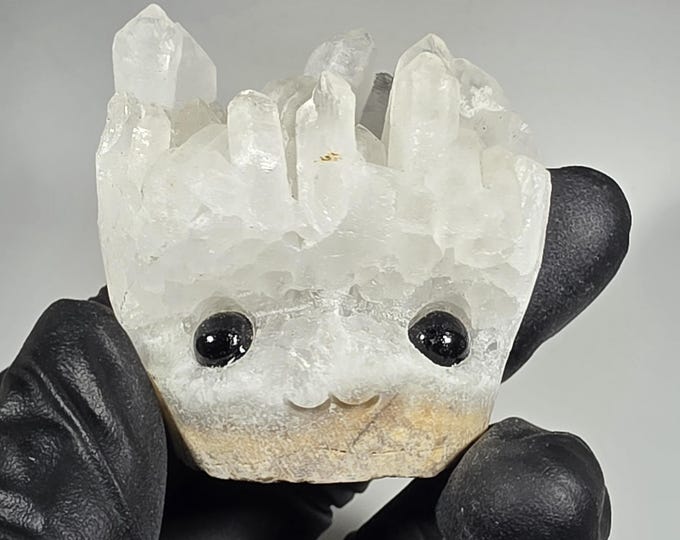 Clear Quartz Cluster Pet Rock Carving