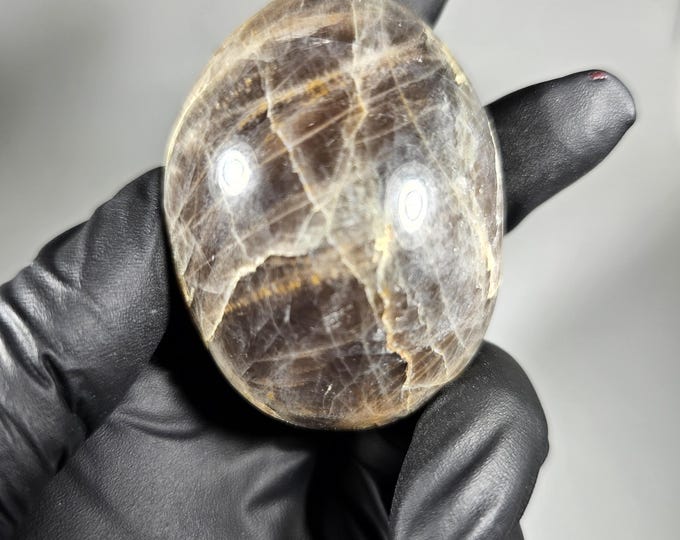 Black Moonstone Palm