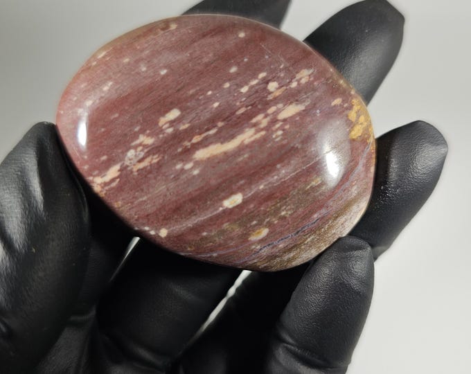 Petrified Wood Palm Stone