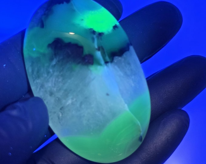 Volcano Agate Palm Stone UV Reactive