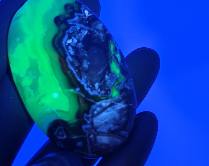 Volcano Agate Palm Stone UV Reactive