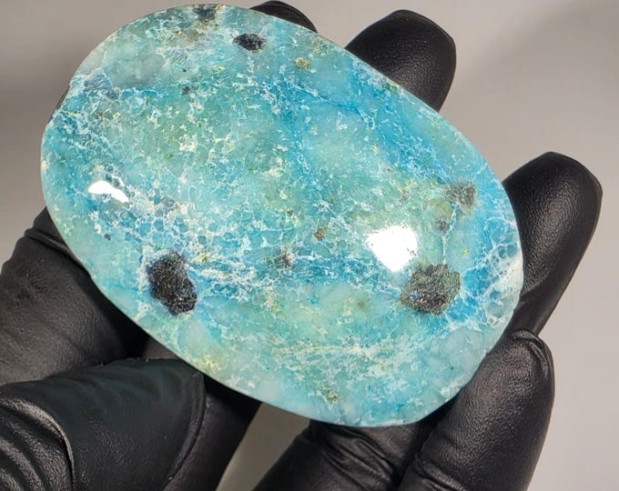 Phoenix Stone Palm Stone
