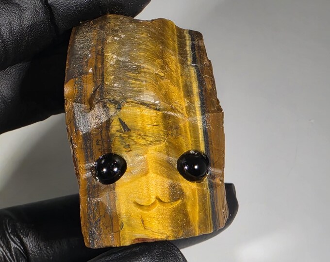 Tigerseye Pet Rock Carving