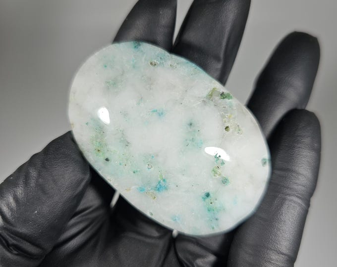 Phoenix Stone Palm Stone