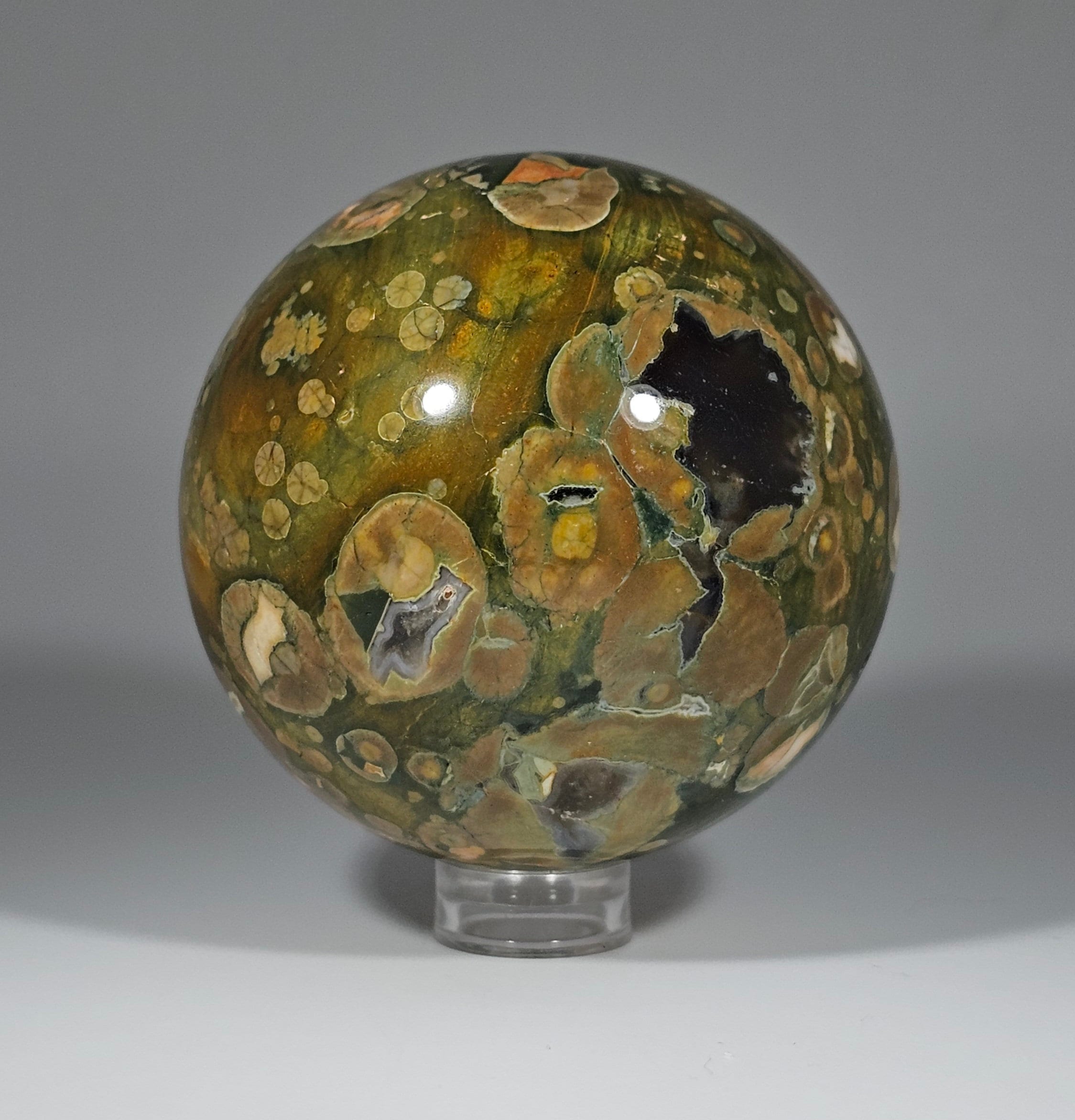 gallery photo