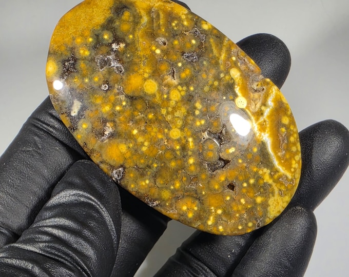 Ocean Jasper Palm Stone