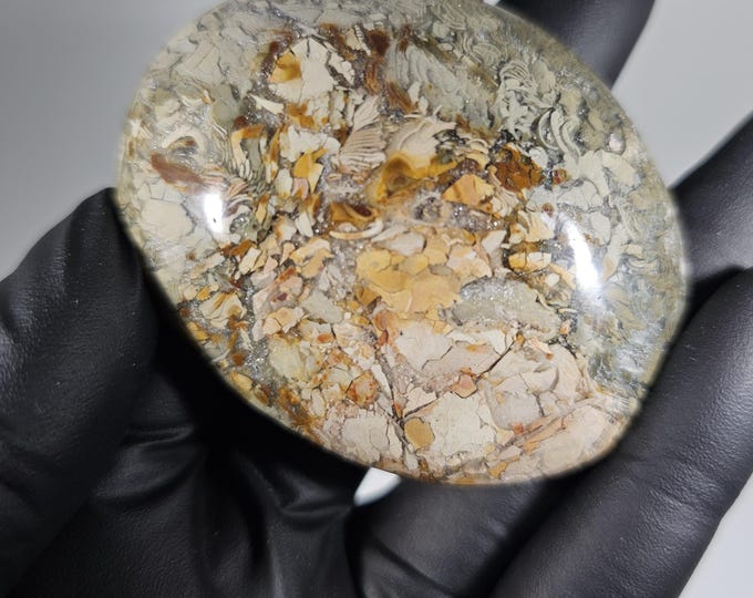 Ibis Agate Palm Stone