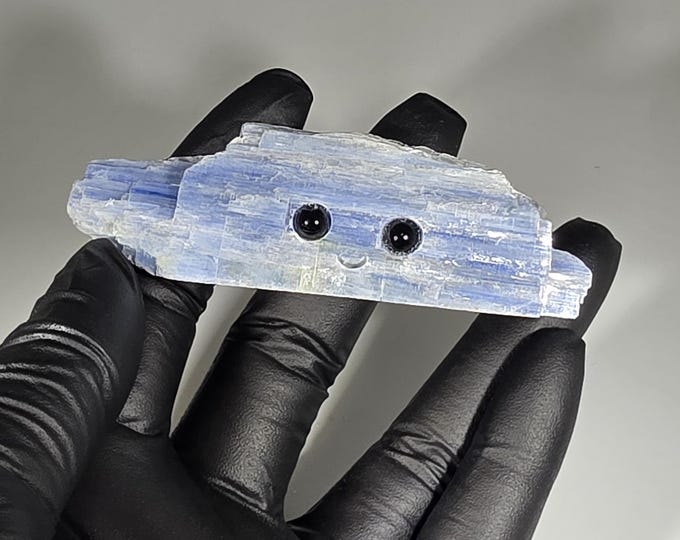 Kyanite Pet Rock Carving