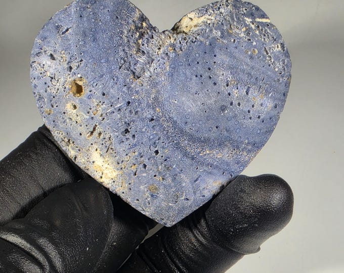 Blue Ridge Coral Fossil Heart Stone
