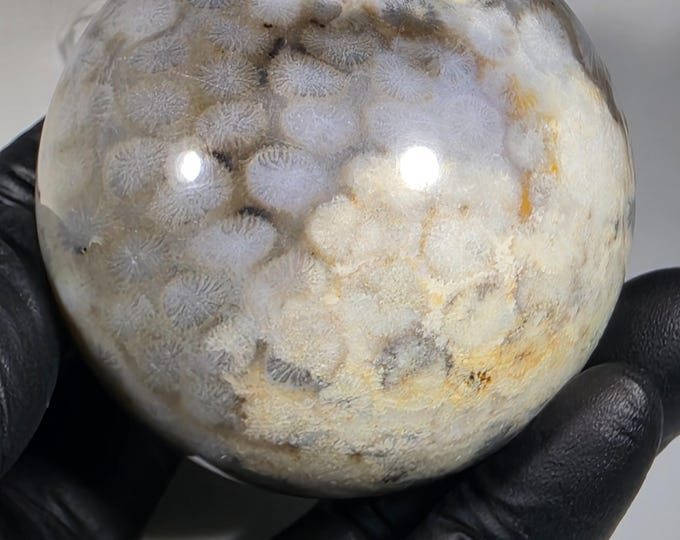 53mm Coral Fossil Sphere