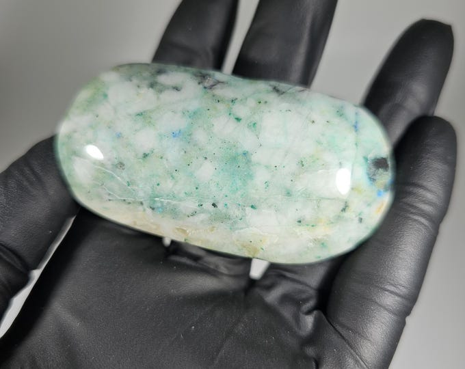 Phoenix Stone Palm Stone