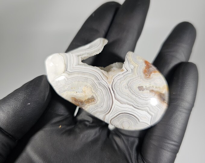 Mexican Crazy Lace Agate Palm Stone