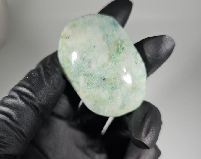 Phoenix Stone Palm Stone