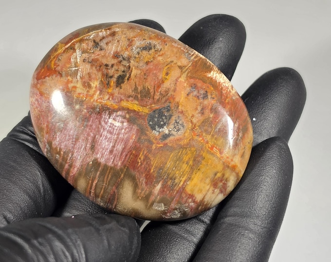 Petrified Wood Palm Stone