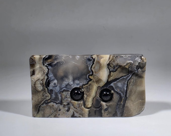 Volcano Agate Pet Rock Carving