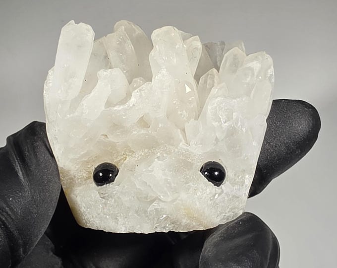 Clear Quartz Cluster Pet Rock Carving