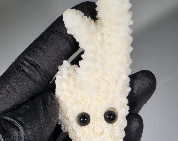 Skeletal Coral Pet Rock Carving