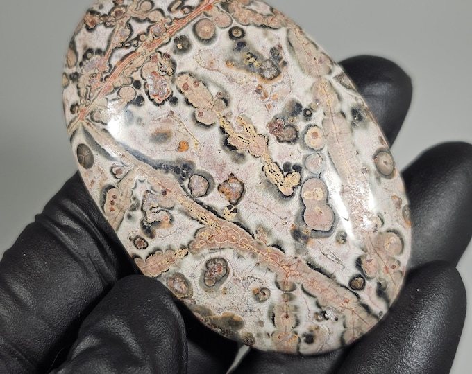 Leopard Skin Jasper Palm Stone