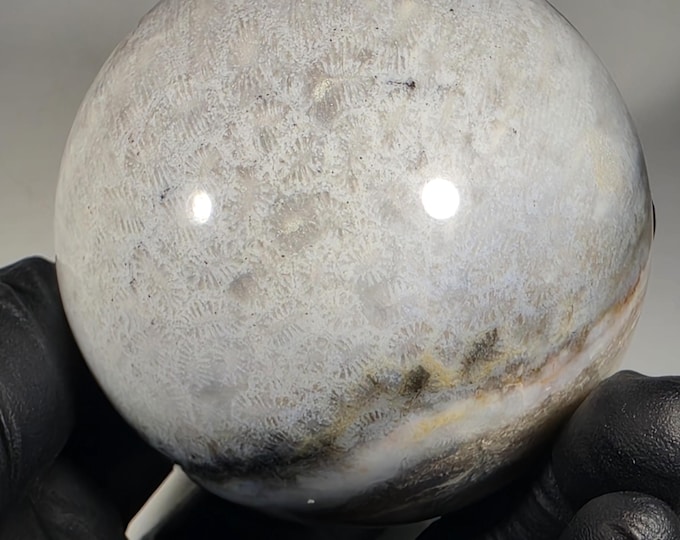55mm Coral Fossil Sphere