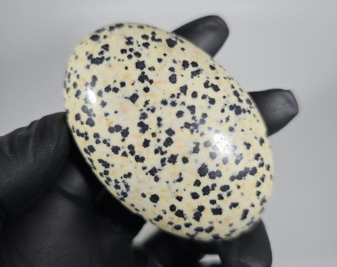 Dalmatian Jasper Palm Stone