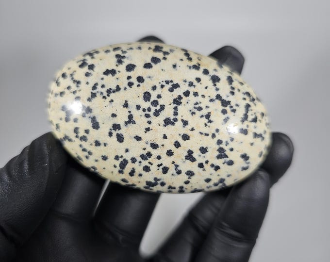 Dalmatian Jasper Palm Stone