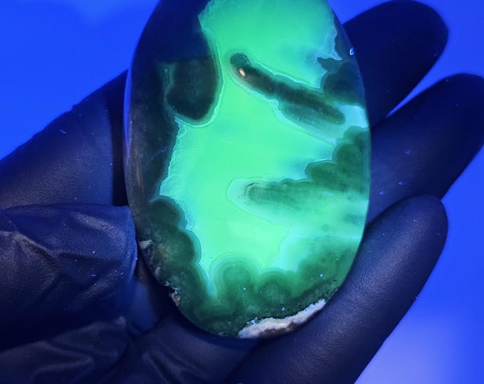 Volcano Agate Palm Stone UV Reactive