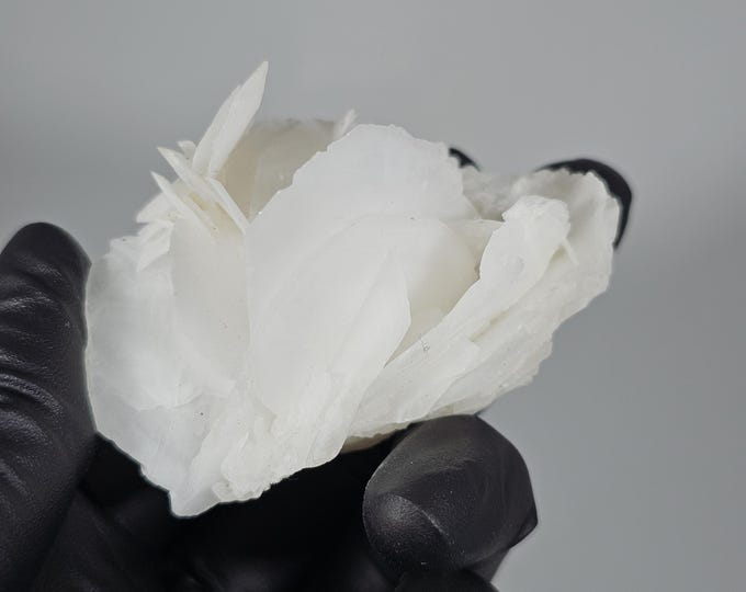 Angel Wing Calcite Specimen