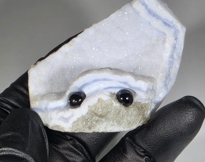 Druzy Blue Lace Agate Pet Rock Carving