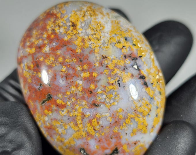 Colorful Ocean Jasper Palm Stone