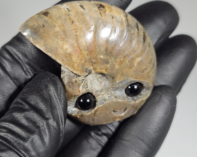 Opalized Ammonite Pet Rock Carving