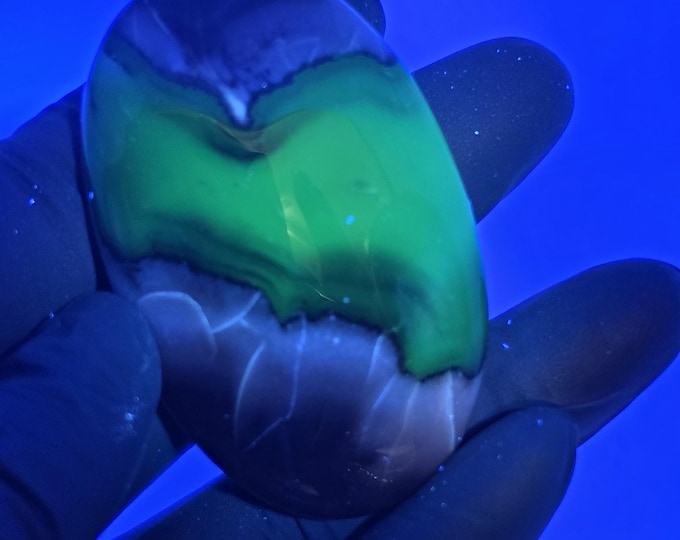 Volcano Agate Palm Stone UV Reactive