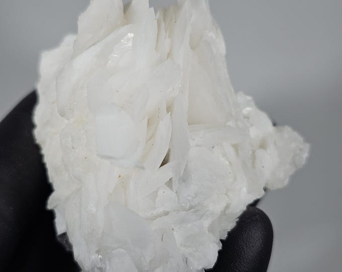 Angel Wing Calcite Specimen