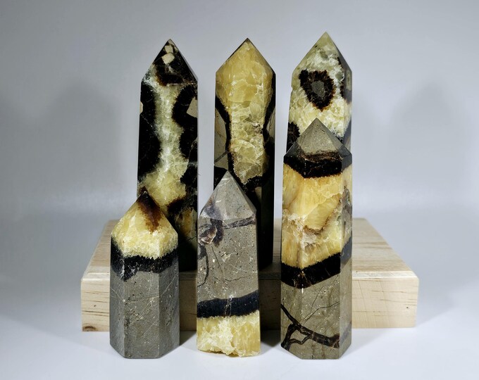 You Choose Septarian Tower