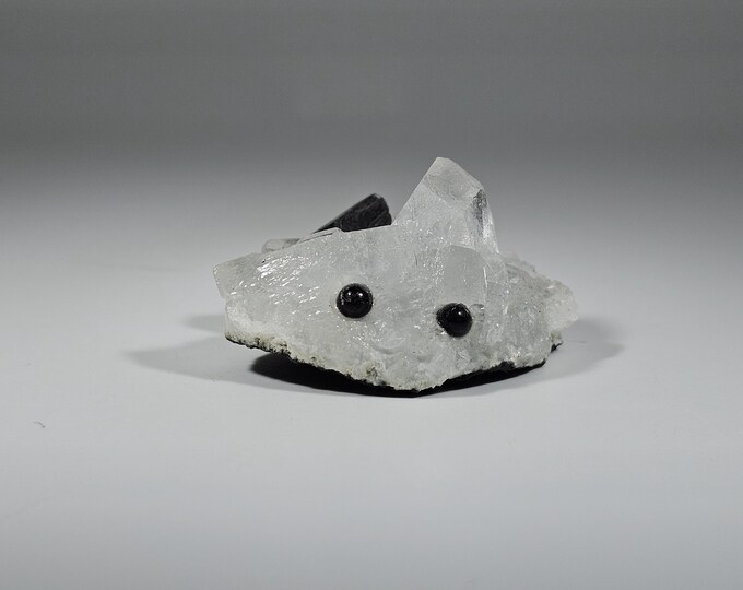 Clear Quartz Pet Rock Carving