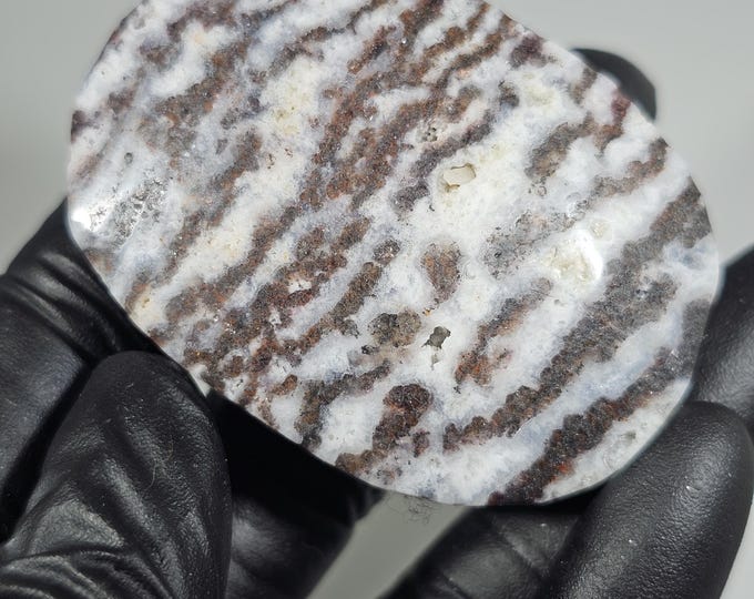 Purple Zebra Palm Stone