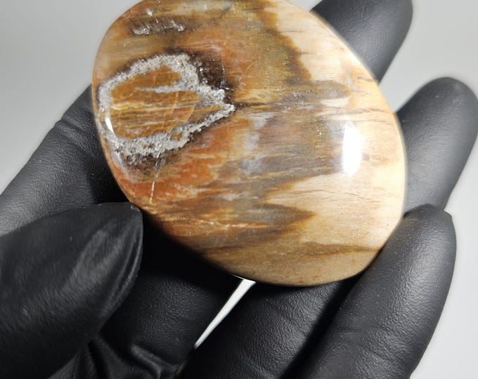 Petrified Wood Palm Stone