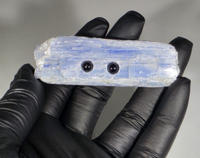 Kyanite Pet Rock Carving