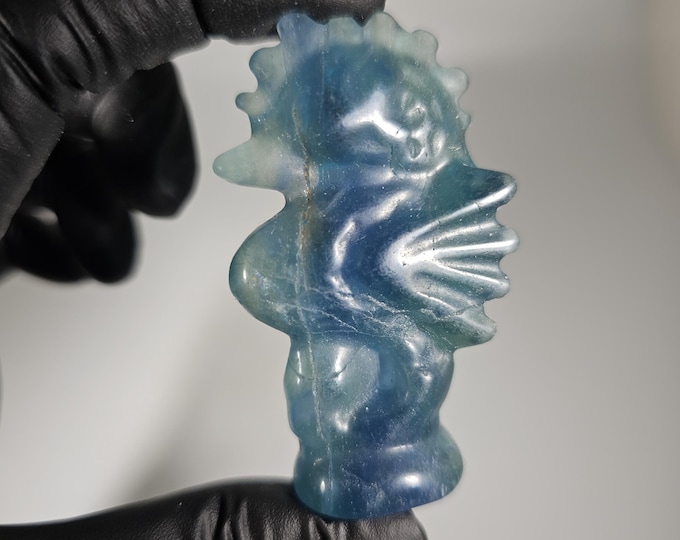 Fluorite Seahorse Carving *Imperfect