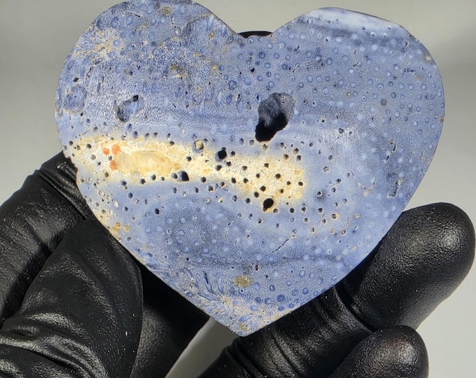 Blue Ridge Coral Fossil Heart Stone