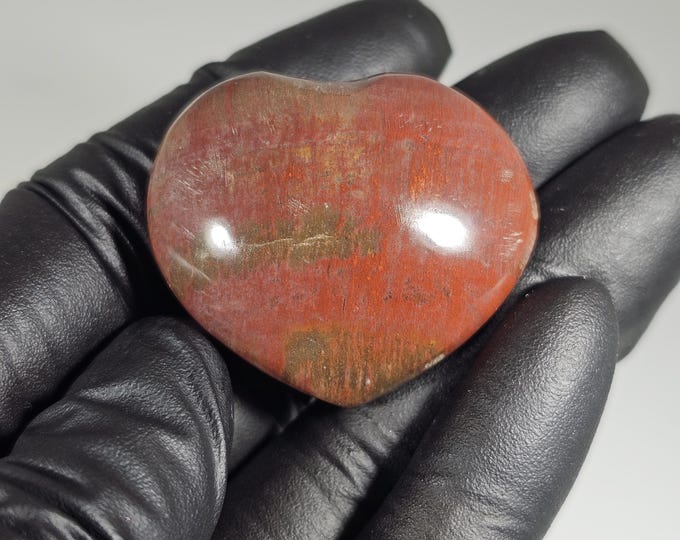 Petrified Wood Heart Carving *Imperfect