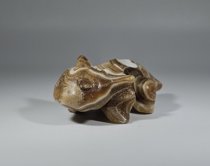 Amber Calcite Axolotl Carving