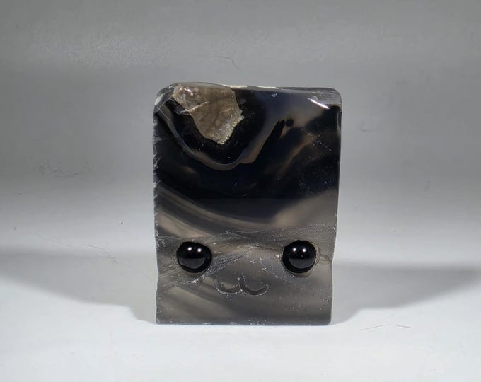 Volcano Agate Pet Rock Carving