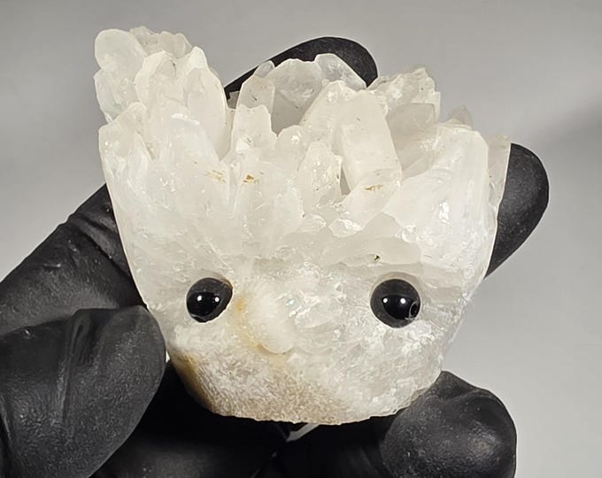 Clear Quartz Cluster Pet Rock Carving
