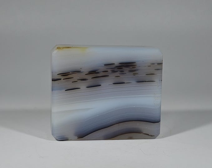 Banded Dendritic Agate Slab