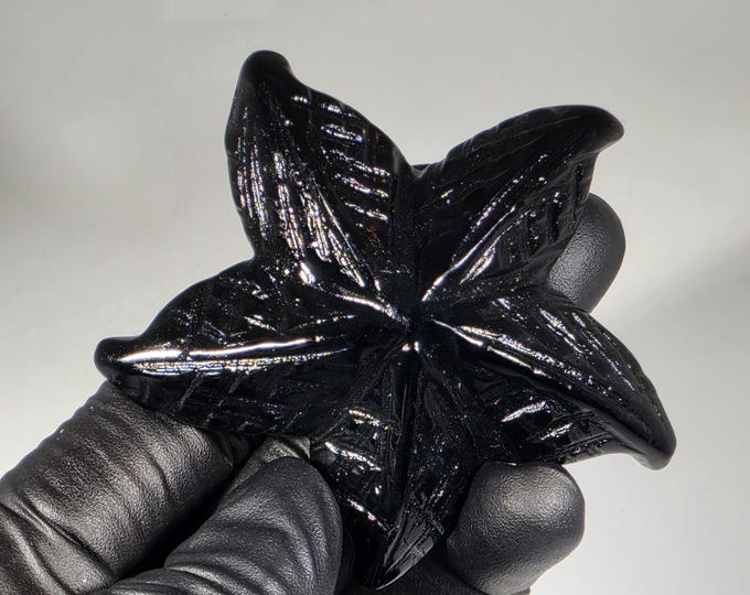 Obsidian Starfish Carving