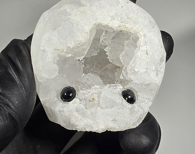 Druzy Geode Pet Rock Carving
