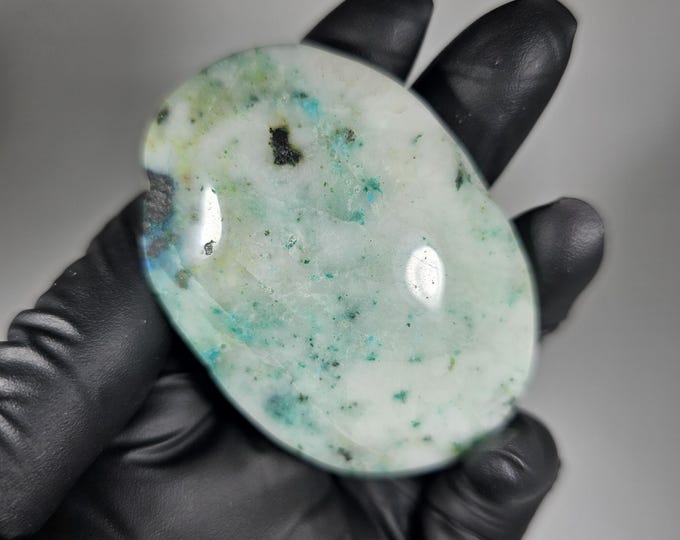 Phoenix Stone Palm Stone